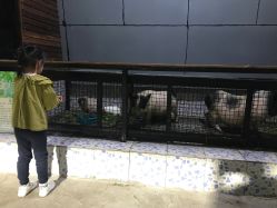 点击看大图 -可可天空农场(东部新城银泰店)