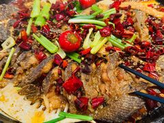 -老板恋上鱼(恒隆广场店)