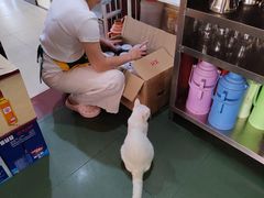 -南雄雄州土菜餐厅(粤北大厦店)