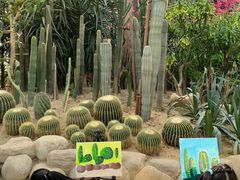 -祥源·阜阳生态乐园