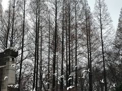 -音乐台