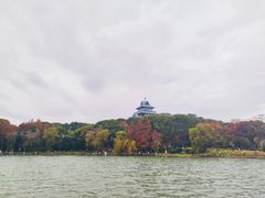 -金鸡湖桃花岛