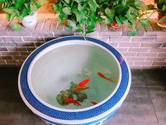 -松针蔡记蒸饺(花园路店)