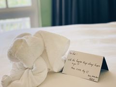 -富国岛翡翠湾 JW 万豪度假酒店