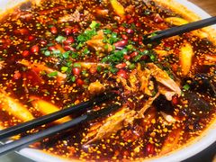 农家拌土鸡-蜀厨小匠·民间川菜(犀浦店)