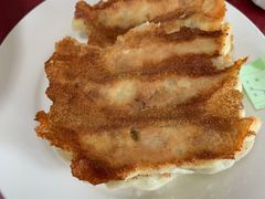 -青岛锅贴(四流中路店)