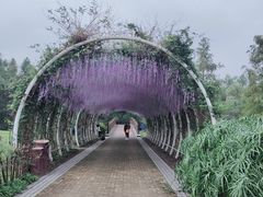 -同里国家湿地公园