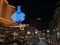 -拉斯维加斯永利酒店