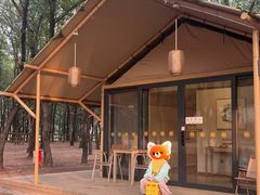 -东海森林温泉度假酒店