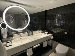 -新加坡乌节希尔顿酒店 (SG Clean)
