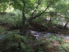 -丹东天桥沟景区