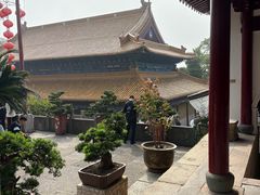 -普陀山风景名胜区-法雨禅寺