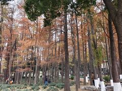 -月湖风景区