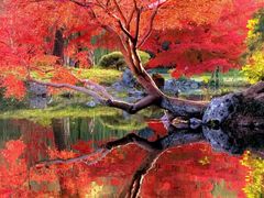 -康熙养生SPA·轻奢足道(江宁万达店)