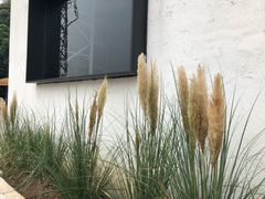 -来回·咖啡(钟村咖啡豆店)