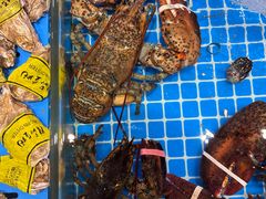 -双合园·海鲜水饺青岛菜(九水东路店)