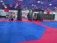 -陈中跆拳道(中关村馆)