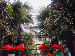 -铭洋专业采耳(田子坊店)