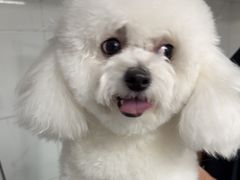 -艾贝尔宠物医院 ·中兽医·宠保定点(北门桥店)