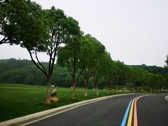 -羊山湖公园