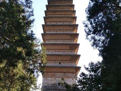 -洛阳白马寺