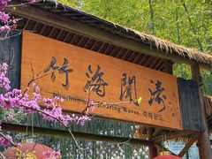 -宁波浙东大竹海景区