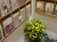 -猫的天空之城概念书店(印象城购物中心店)