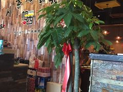 -帕西铁板鸡店(新世界百货店)