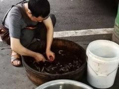 -铜元老码头鳝鱼火锅