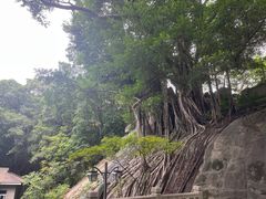 -乌山风景区