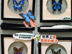 -深圳龙华星河COCO City(民治店)