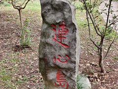 -紫霞湖公园
