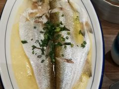 清蒸鲜白鱼-锡和无锡菜(景丽苑店)