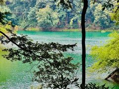 -广州市流溪河国家森林公园