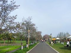-长田漾湿地公园