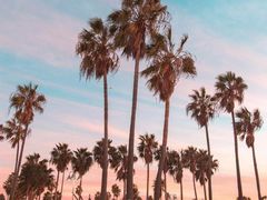 -海椰茶居(海印缤缤广场店)