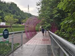 -佛山华盖山公园