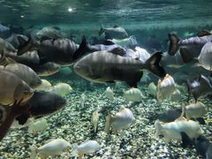 -成都浩海立方海洋公园