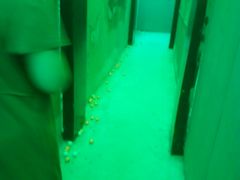 -MOJO密室逃脱(中街旗舰店)