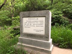 -灵山