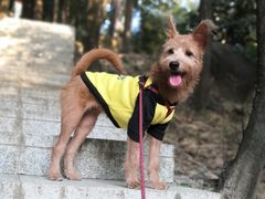 -火炉山森林公园