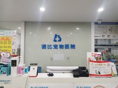 -诺比宠物医院心脏内科·泌尿肾内外科·骨科急重症