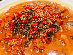 -宏宴·新京菜(望京店)