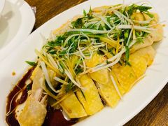-熠盛粤味·顺德桑拿鸡(永康路店)