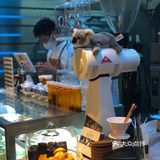 Mc Coffee Bar|日咖夜酒冲不冲🐛