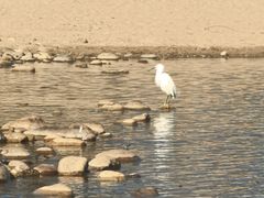 -九曲溪竹筏码头