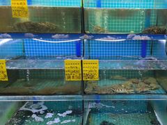 -坛南湾阿强农家乐.海鲜大排档老字号(福州地标美食店)