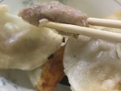 -胖子锅贴(双阳路111弄店)