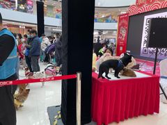 -万达广场(松江店)