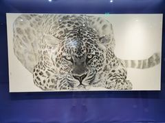 -南京书画院金陵美术馆